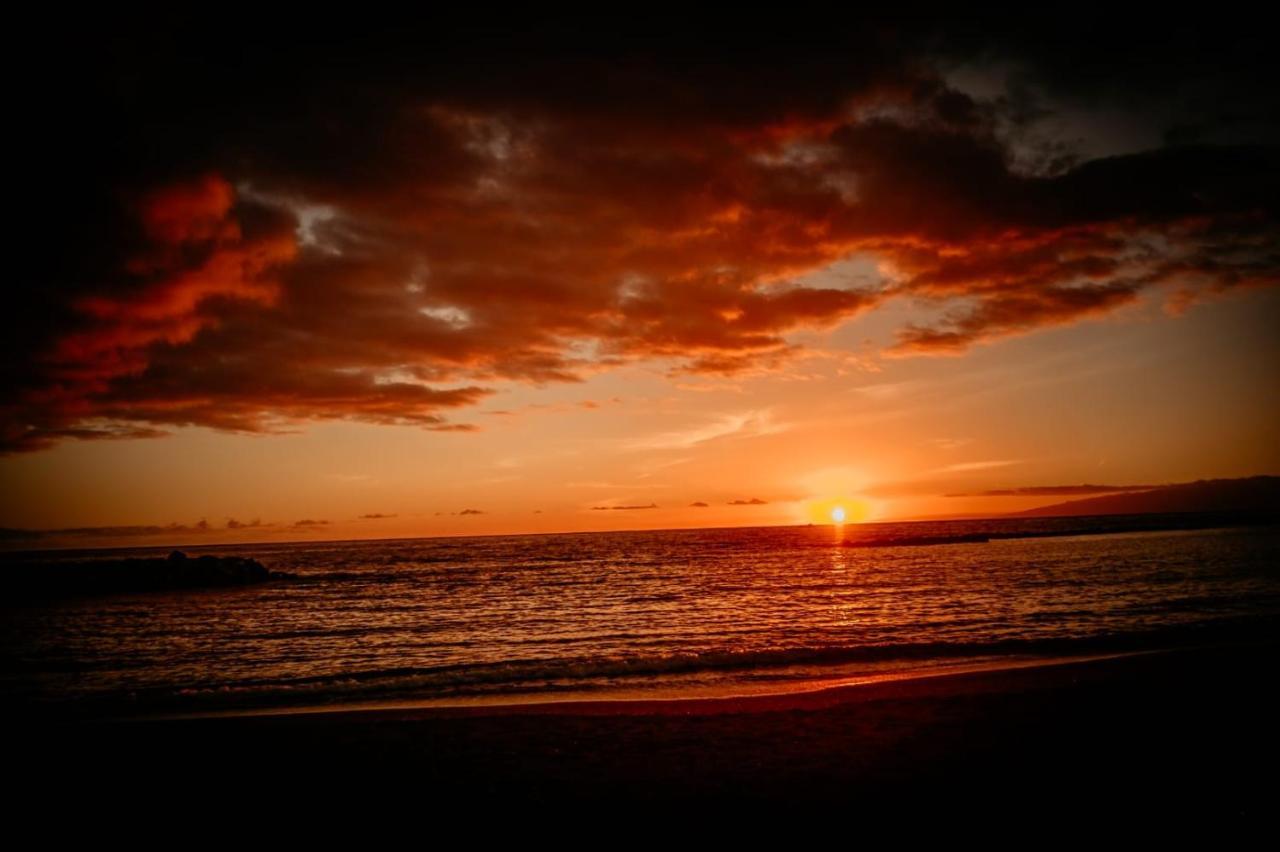Paradise Tenerife San Miguel de Abona Dış mekan fotoğraf