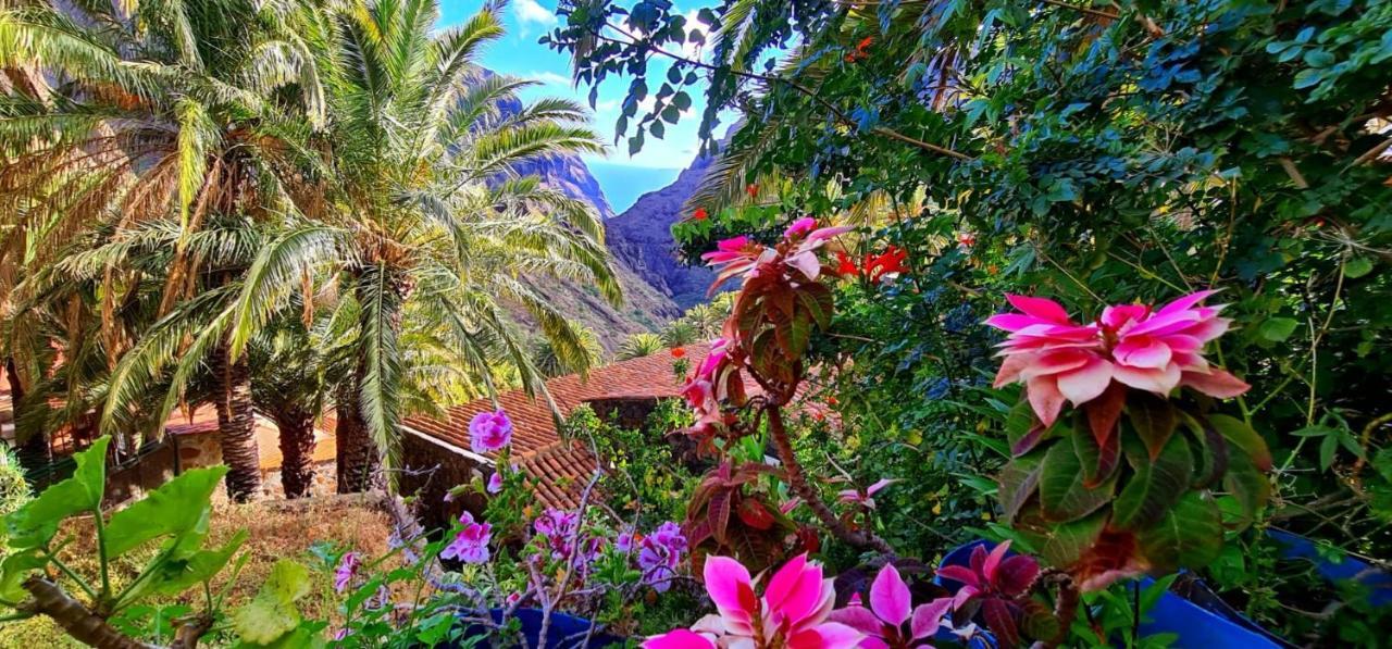 Paradise Tenerife San Miguel de Abona Dış mekan fotoğraf